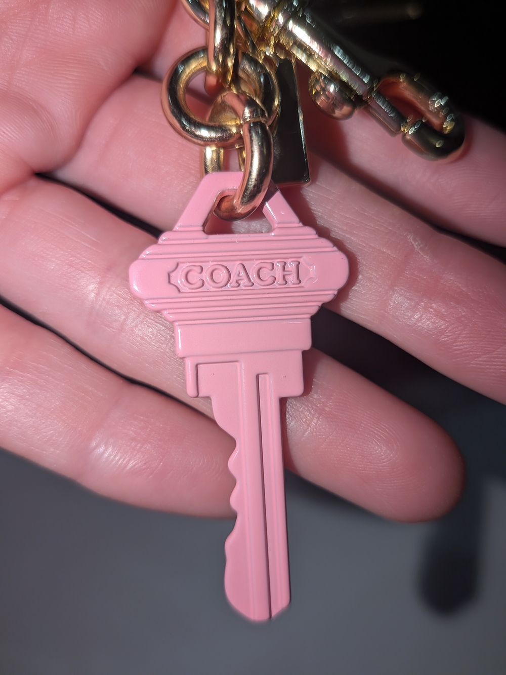 Pink Key-Shaped Keychain Charm with Gold Hardware